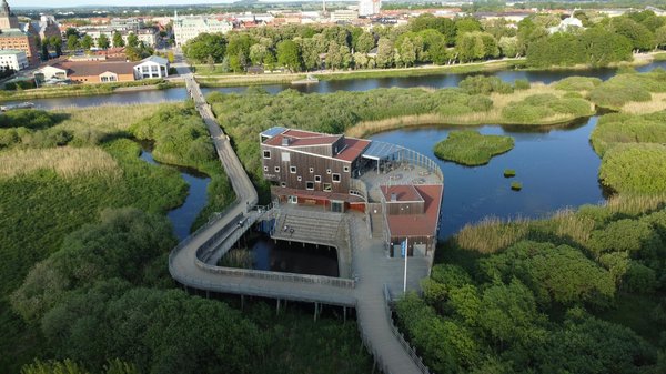 How Can Property Developers Utilize Brown Roof Systems for Urban Biodiversity?
